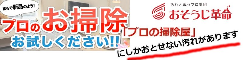 ����Ɛ키�v���W�c�y���������v���z���T�C�g